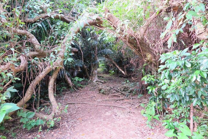 Okinawa: Sacred Island Tour to Kudaka’s Ryukyuan Holy Sites — photo 7