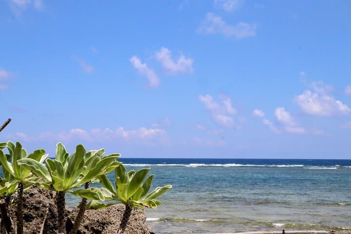 Okinawa: Sacred Island Tour to Kudaka’s Ryukyuan Holy Sites — photo 2
