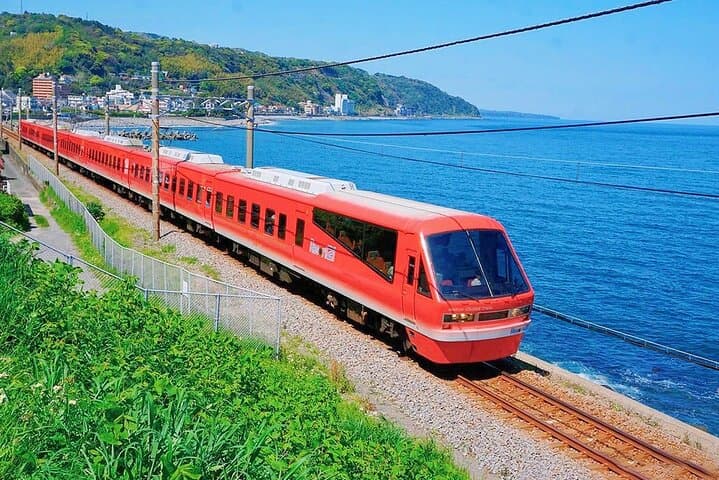 FromTokyo: Izu Scenic Oceanview Train, Volcano, Coast Day Trip — photo 1