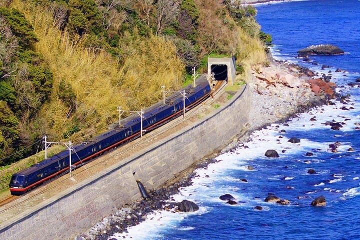 FromTokyo: Izu Scenic Oceanview Train, Volcano, Coast Day Trip — photo 2