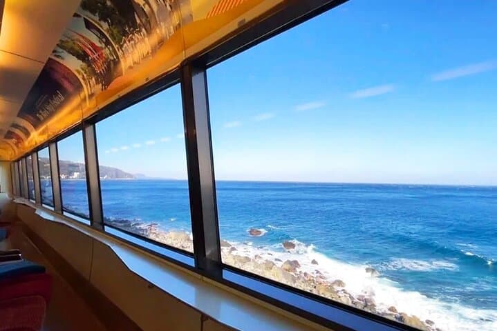 FromTokyo: Izu Scenic Oceanview Train, Volcano, Coast Day Trip — photo 4