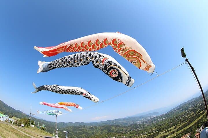 FromTokyo: Izu Scenic Oceanview Train, Volcano, Coast Day Trip — photo 7