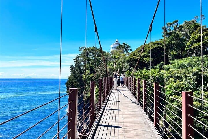 FromTokyo: Izu Scenic Oceanview Train, Volcano, Coast Day Trip — photo 9