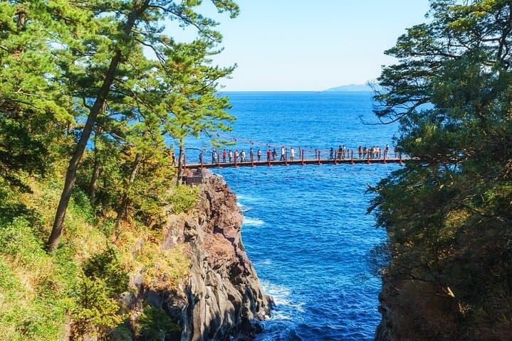 FromTokyo: Izu Scenic Oceanview Train, Volcano, Coast Day Trip — photo 11