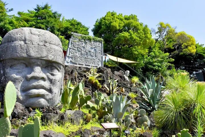 FromTokyo: Izu Scenic Oceanview Train, Volcano, Coast Day Trip — photo 15