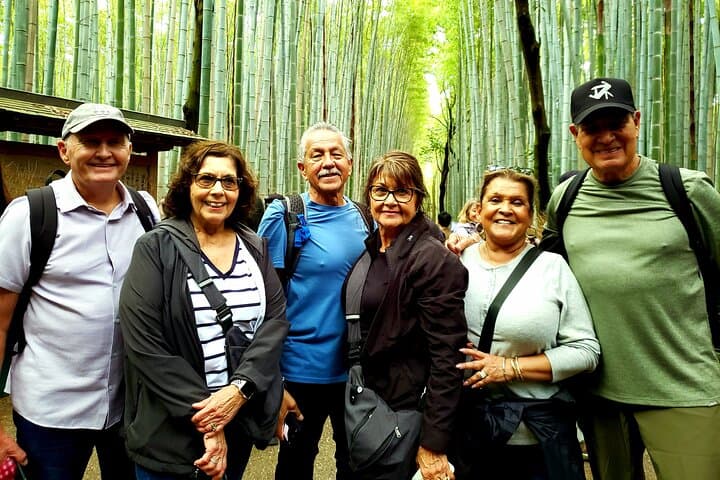 8 hours Arashiyama Monkey Park Ryoanji and Kinkaku ji Tour
