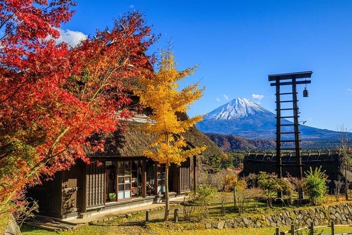 Mt Fuji View and Hakushu Whisky Museum Private Tour from Tokyo — photo 5
