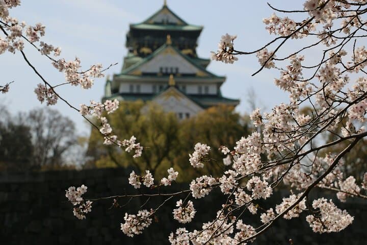 Private Osaka tour with a local guide — photo 3