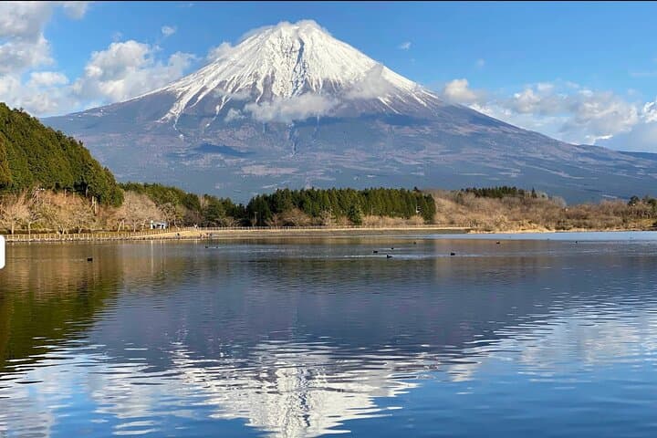 Fuji Highlights Group Car Tour by Shimizu Port with Local Guide — photo 6