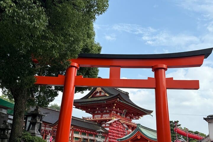 3 Day Private Osaka Kyoto and Nara Tour — photo 3