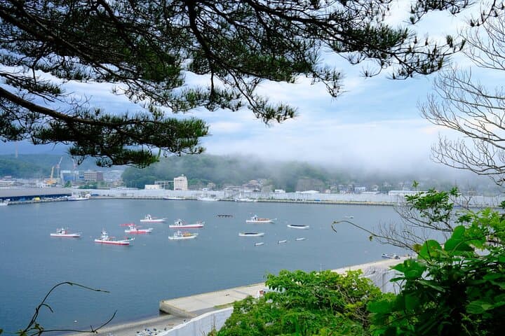 Ryusendo Cave and Kitayamazaki Cliffs Day Tour from Miyako Port — photo 10