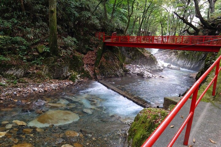 Ryusendo Cave and Kitayamazaki Cliffs Day Tour from Miyako Port — photo 7