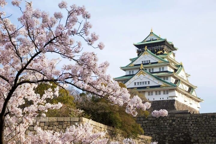7 Days Japan Culture and Food Family Tour — photo 10
