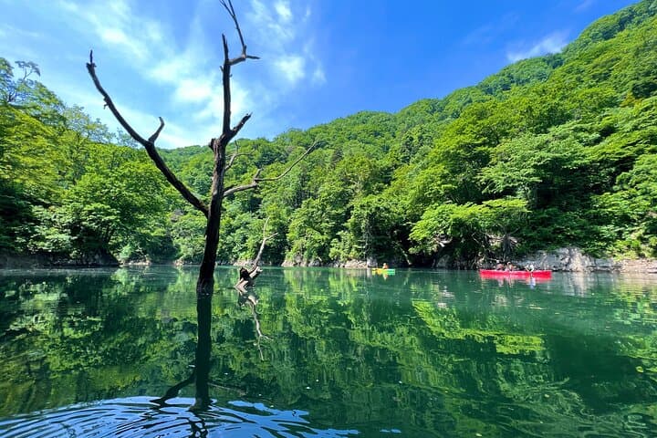 Private Mifuchi Gorge Canoe Tour — photo 4