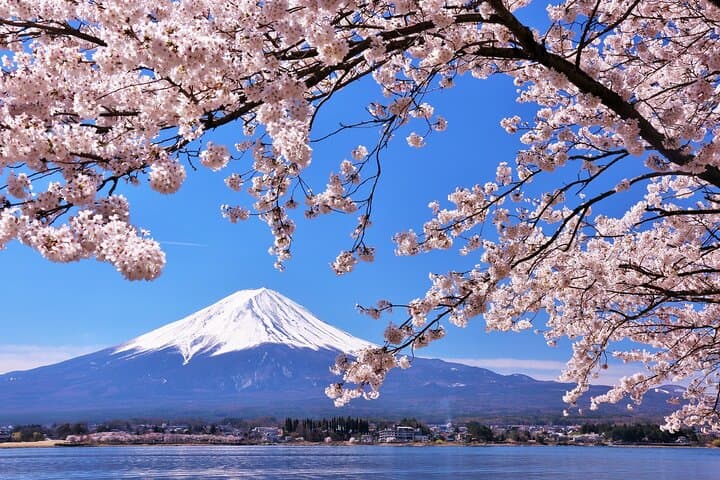 Mt. Fuji 5th St and Gotemba Outlets (Disband at Gotemba Outlets) — photo 8