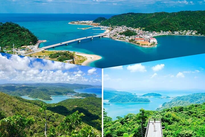 Okinawa Classic Highlights & Flexible Routes: Private Tour — photo 5
