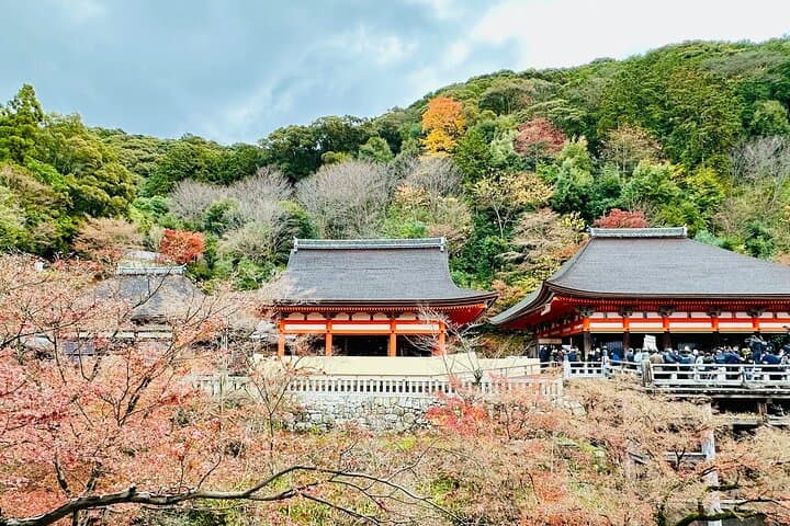 Kyoto & Uji Day Tour: Golden Pavilion, Kiyomizu-dera and Byodo-in — photo 3