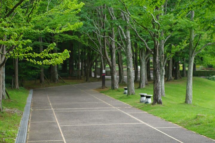 Kyoto & Uji Day Tour: Golden Pavilion, Kiyomizu-dera and Byodo-in — photo 10