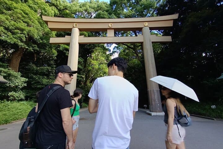 Tokyo: Meiji Shrine and Shinto Culture Walking Tour — photo 8