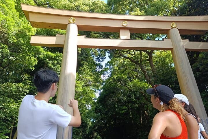 Tokyo: Meiji Shrine and Shinto Culture Walking Tour — photo 7