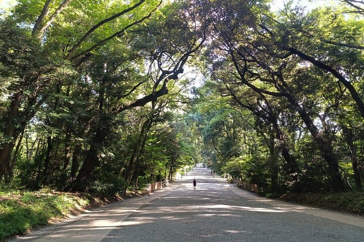 Tokyo: Meiji Shrine and Shinto Culture Walking Tour — photo 11
