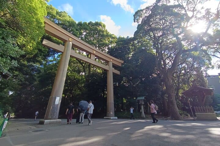 Tokyo: Meiji Shrine and Shinto Culture Walking Tour — photo 17