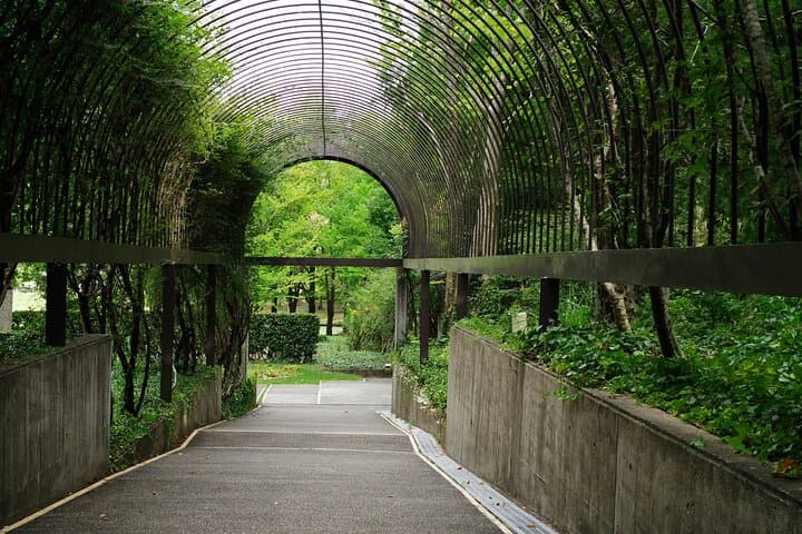Kyoto & Uji Day Tour: Golden Pavilion, Kiyomizu-dera and Byodo-in — photo 11