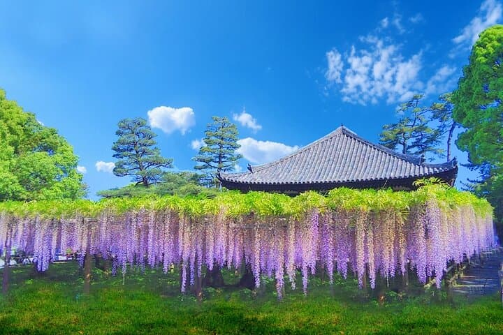 Kyoto & Uji Day Tour: Golden Pavilion, Kiyomizu-dera and Byodo-in — photo 2