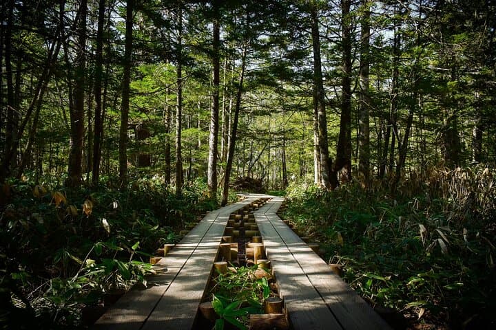 Kamikochi Private Summer Escape: Meet Wildlife in Pristine Nature — photo 5