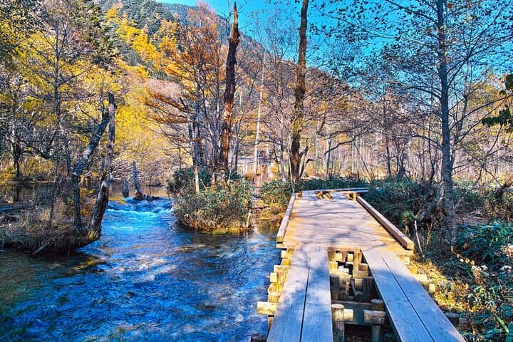 Kamikochi Private Summer Escape: Meet Wildlife in Pristine Nature — photo 12