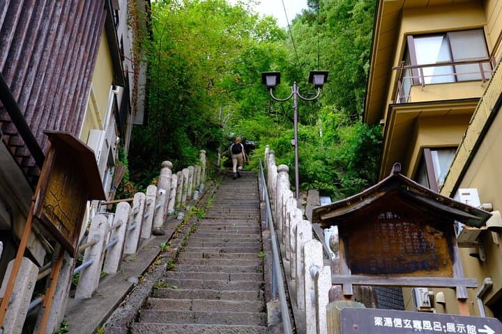 Nagano Snow Monkeys -Half day Private Tour — photo 19
