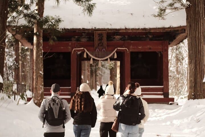 Nagano Snow Monkeys -Half day Private Tour — photo 10