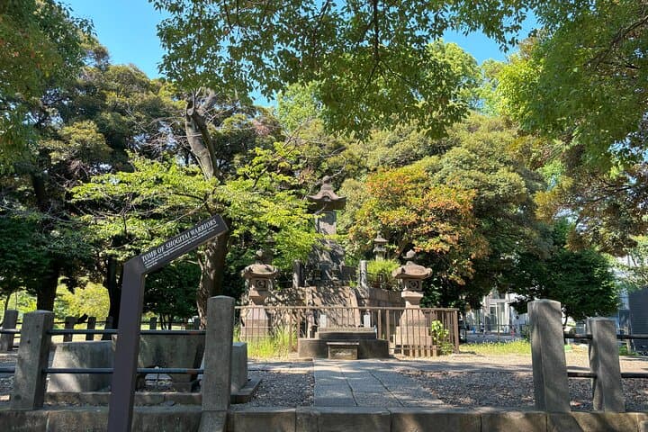 Ueno Park and Ameyoko Street Food Market Half Day Walking Tour — photo 13