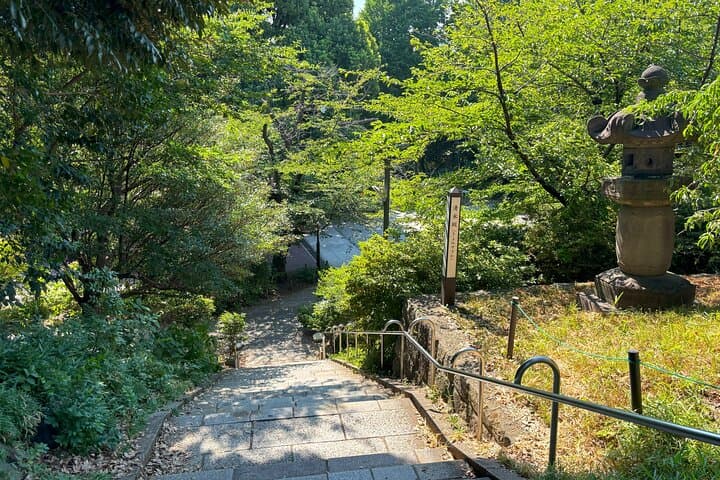 Ueno Park and Ameyoko Street Food Market Half Day Walking Tour — photo 14