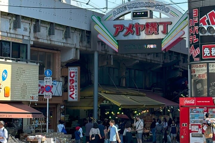 Ueno Park and Ameyoko Street Food Market Half Day Walking Tour — photo 17