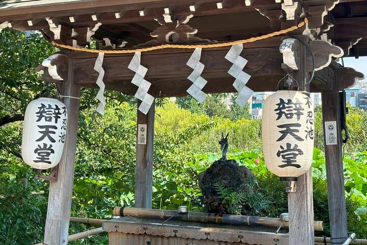 Ueno Park and Ameyoko Street Food Market Half Day Walking Tour — photo 19