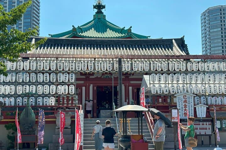 Ueno Park and Ameyoko Street Food Market Half Day Walking Tour — photo 20