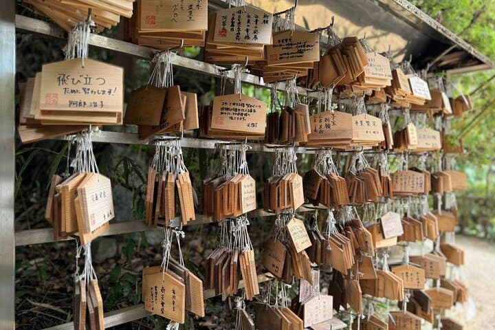 Nara: Asuka, Ancient Capital & Future Heritage Private Tour — photo 8