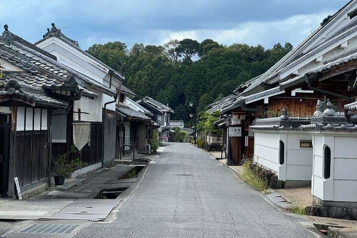 Nara: Asuka, Ancient Capital & Future Heritage Private Tour — photo 3