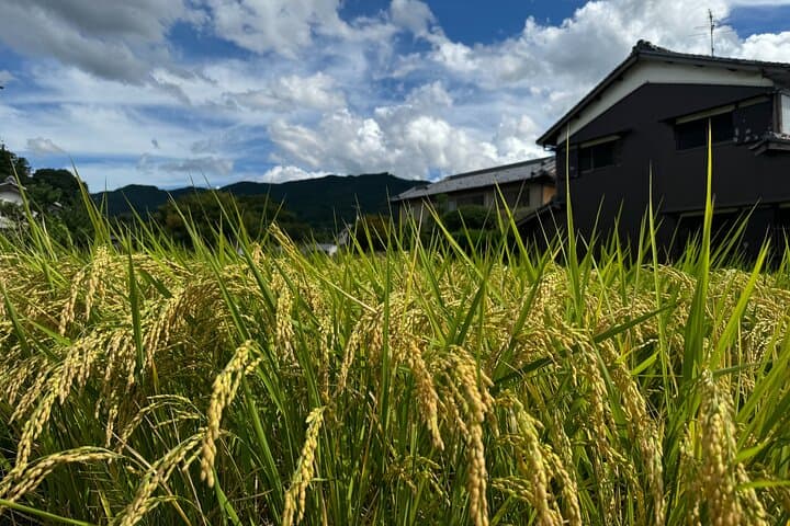Nara: Asuka, Ancient Capital & Future Heritage Private Tour — photo 5