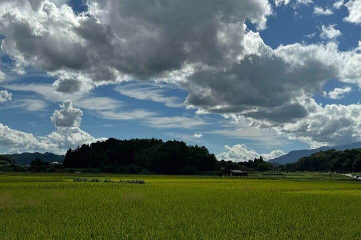 Nara: Asuka, Ancient Capital & Future Heritage Private Tour — photo 11