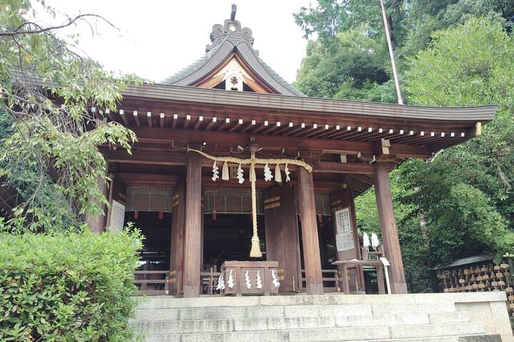 Nara: Asuka, Ancient Capital & Future Heritage Private Tour — photo 14