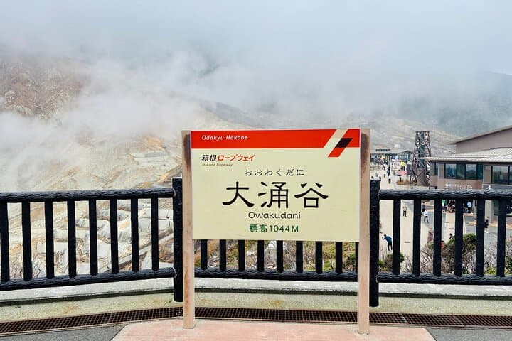 Mount Fuji, Hakone and Owakudani One Day Bus Tour from Tokyo — photo 17