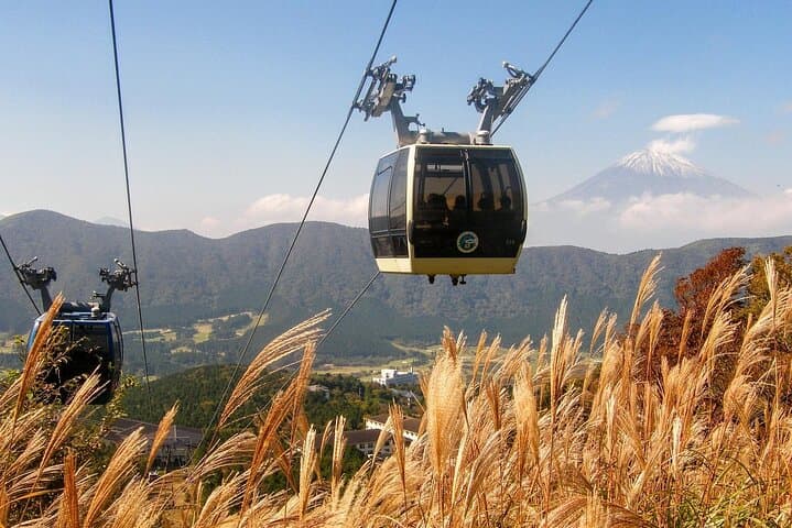 Mount Fuji, Hakone and Owakudani One Day Bus Tour from Tokyo — photo 11
