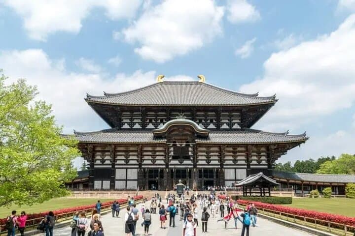 Nara Day Trip from Osaka – Local Japanese Experienced Guide — photo 7