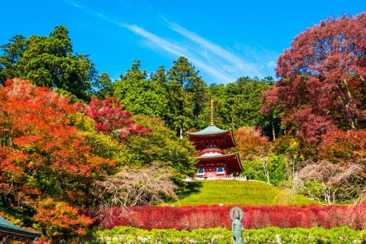 Minoo Falls, Arashiyama Bamboo Forest and Todai-ji Temple Tour — photo 4