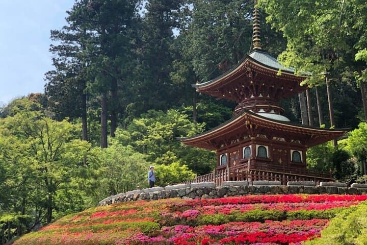Minoo Falls, Arashiyama Bamboo Forest and Todai-ji Temple Tour — photo 6