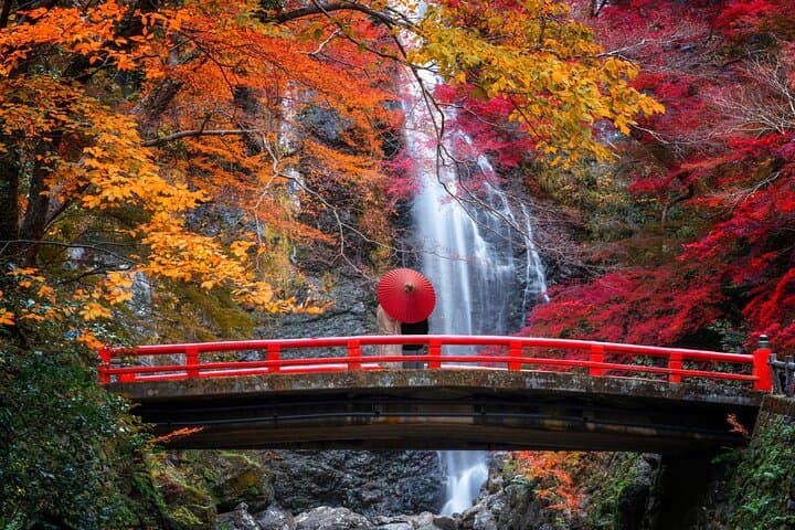 Minoo Falls, Arashiyama Bamboo Forest and Todai-ji Temple Tour — photo 7