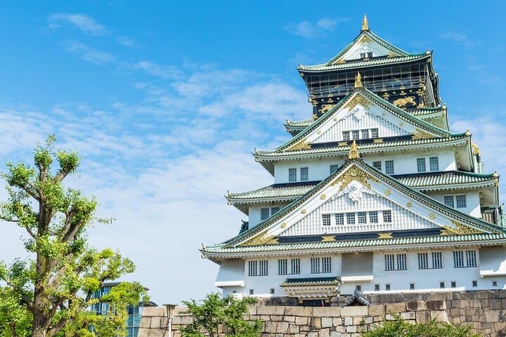 Osaka Private Walking Tour with Local Japanese Experienced Guide — photo 12
