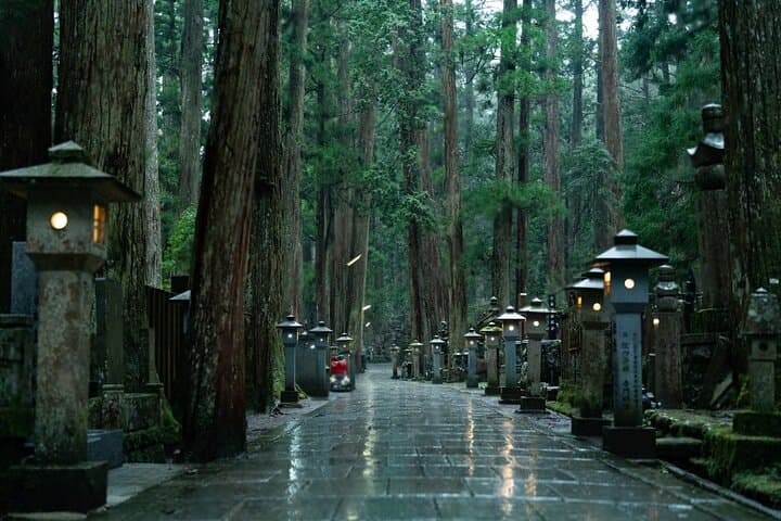 Nachi Waterfall, Mount Koya & Wakayama Tour with Two Options — photo 5